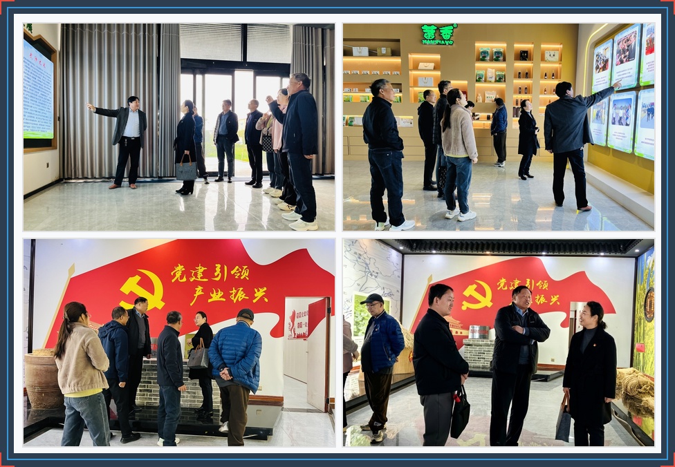 黄河流域耕地保护与城乡高质量发...